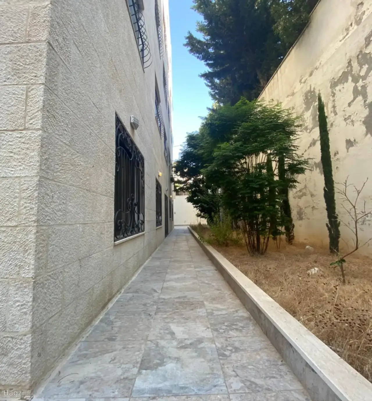 الصورة 4 من 12