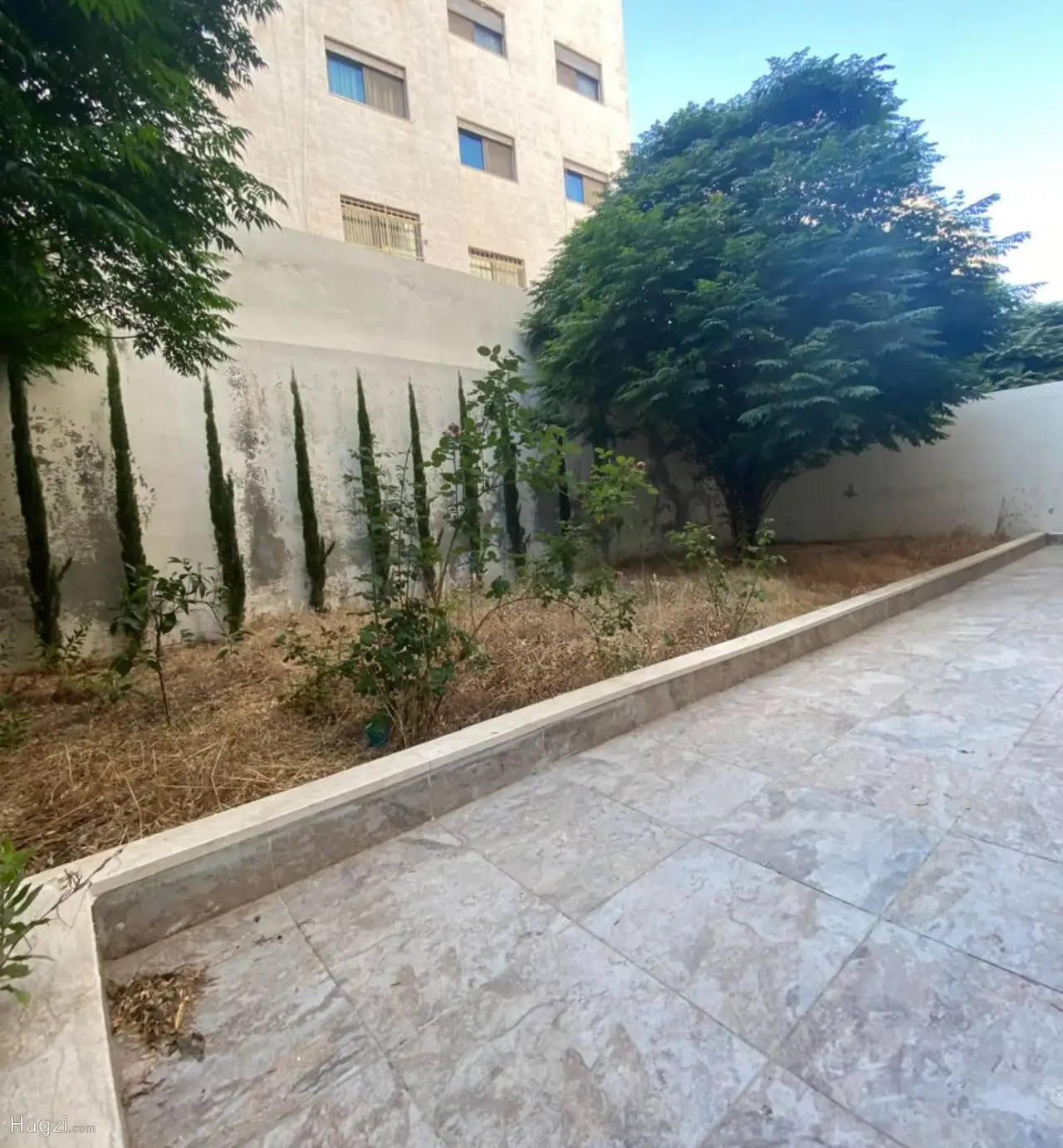 الصورة 2 من 12