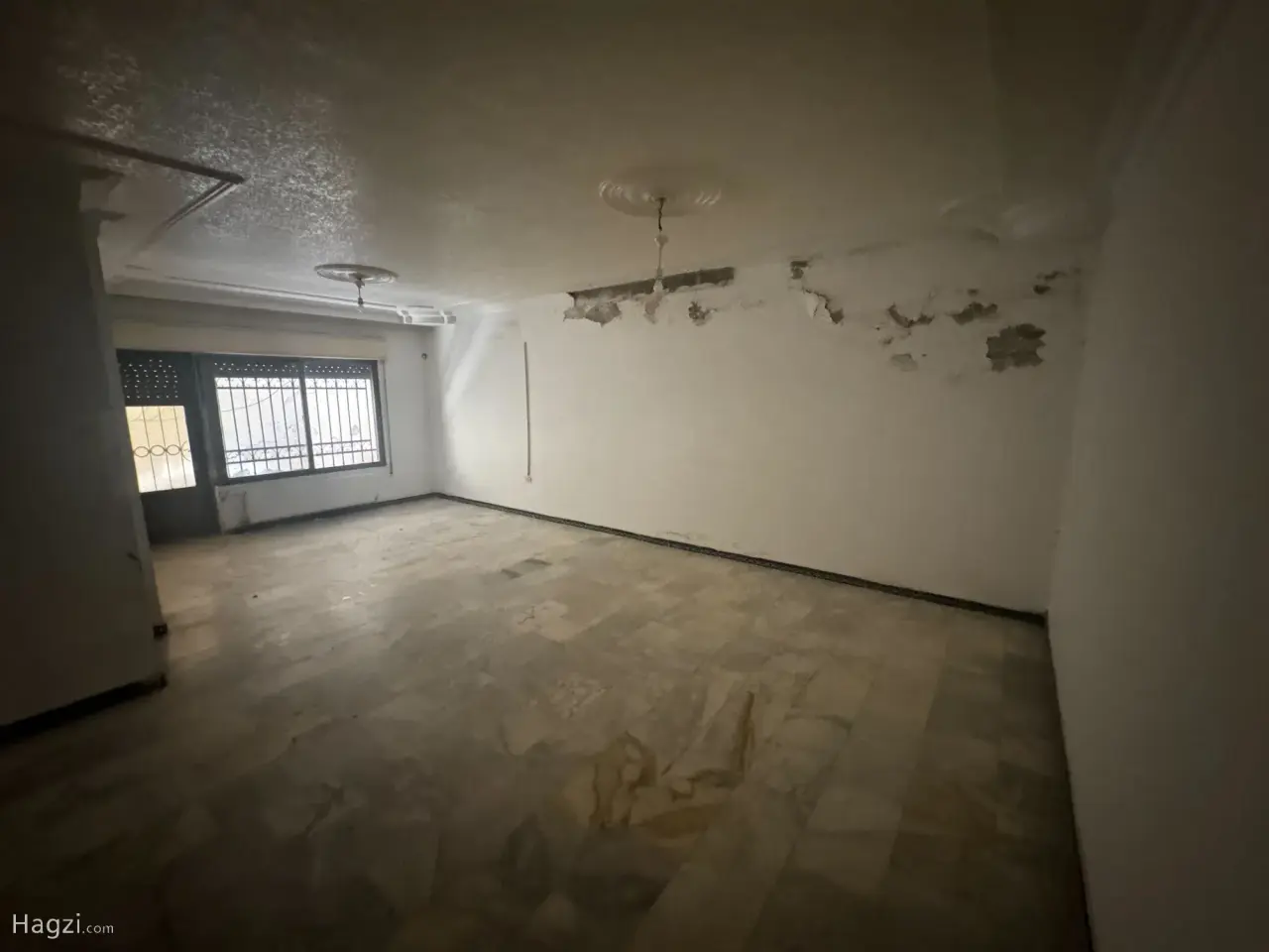 الصورة 2 من 12