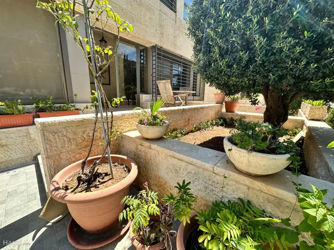 الصورة 12 من 12