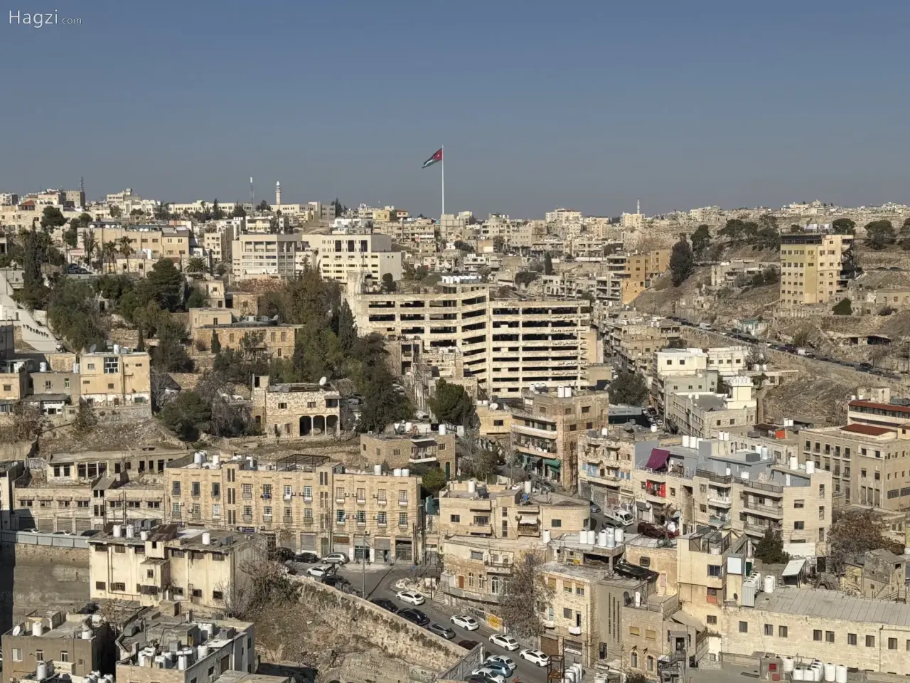 الصورة 10 من 10