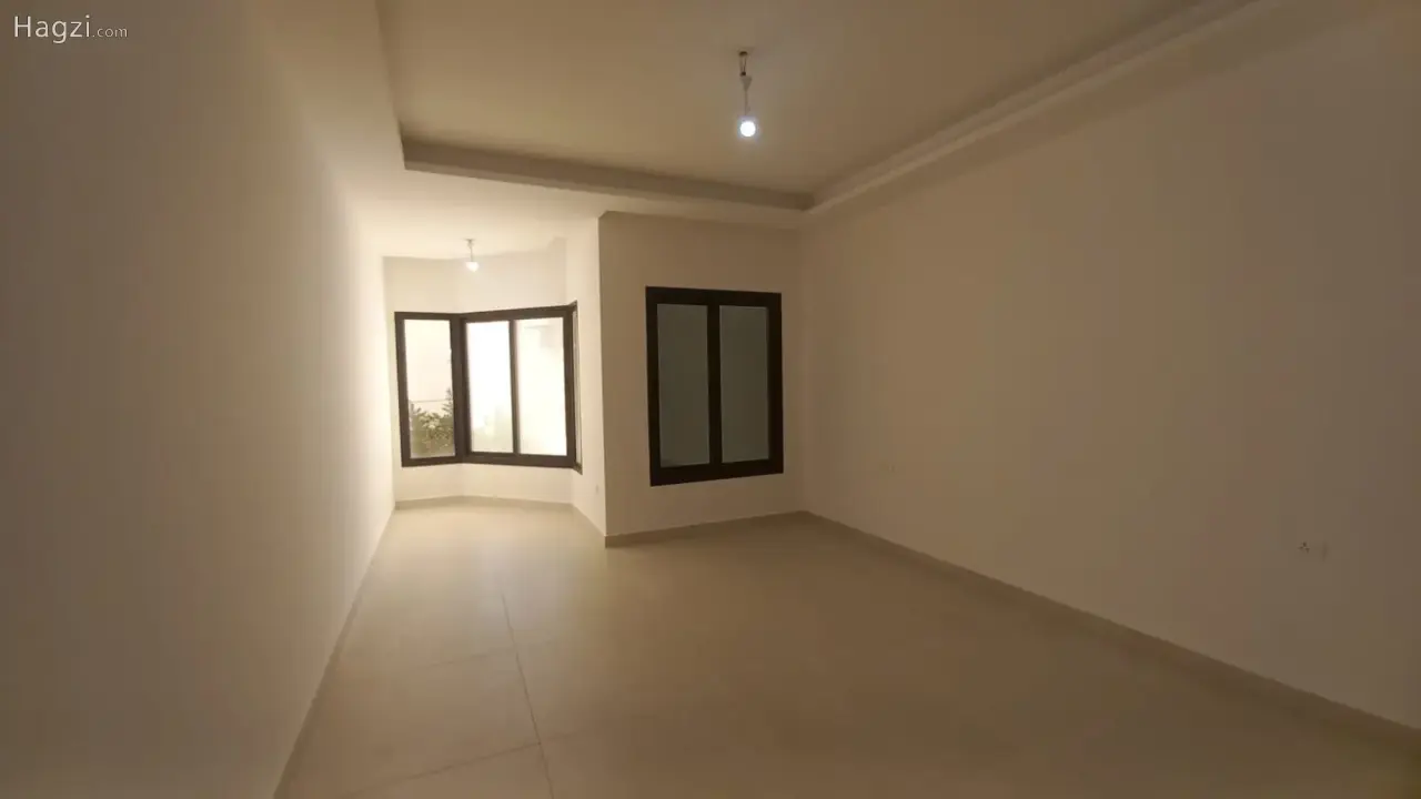 الصورة 11 من 12