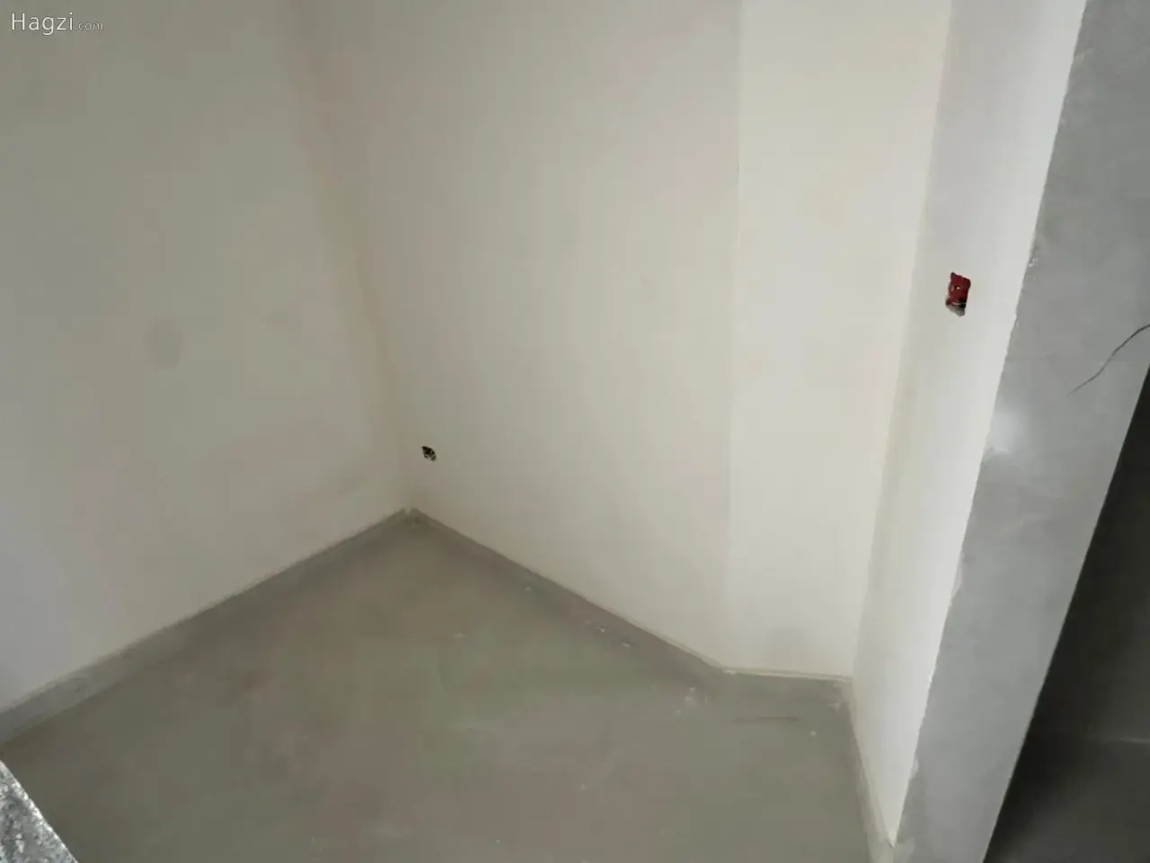 الصورة 6 من 12