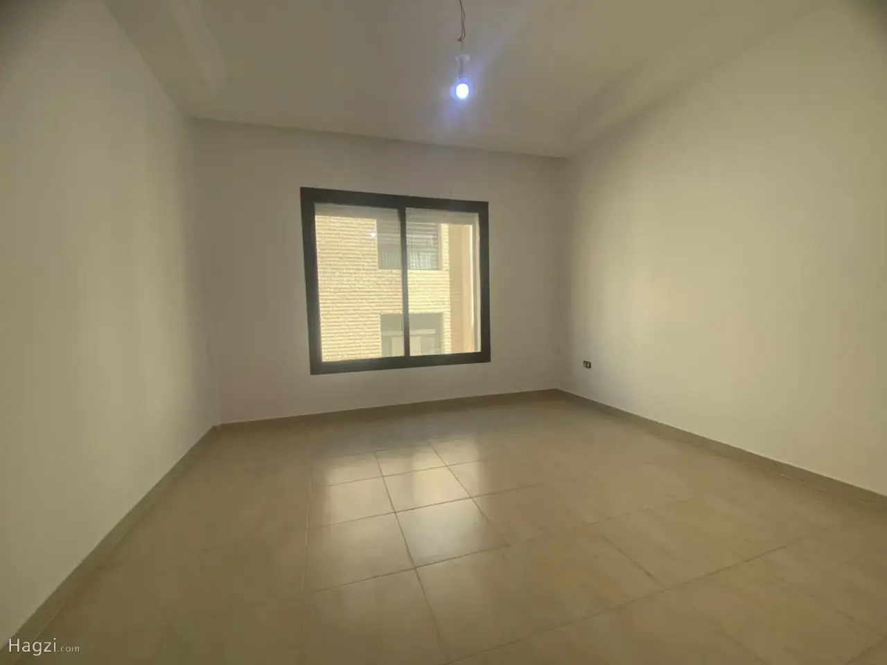 الصورة 8 من 12