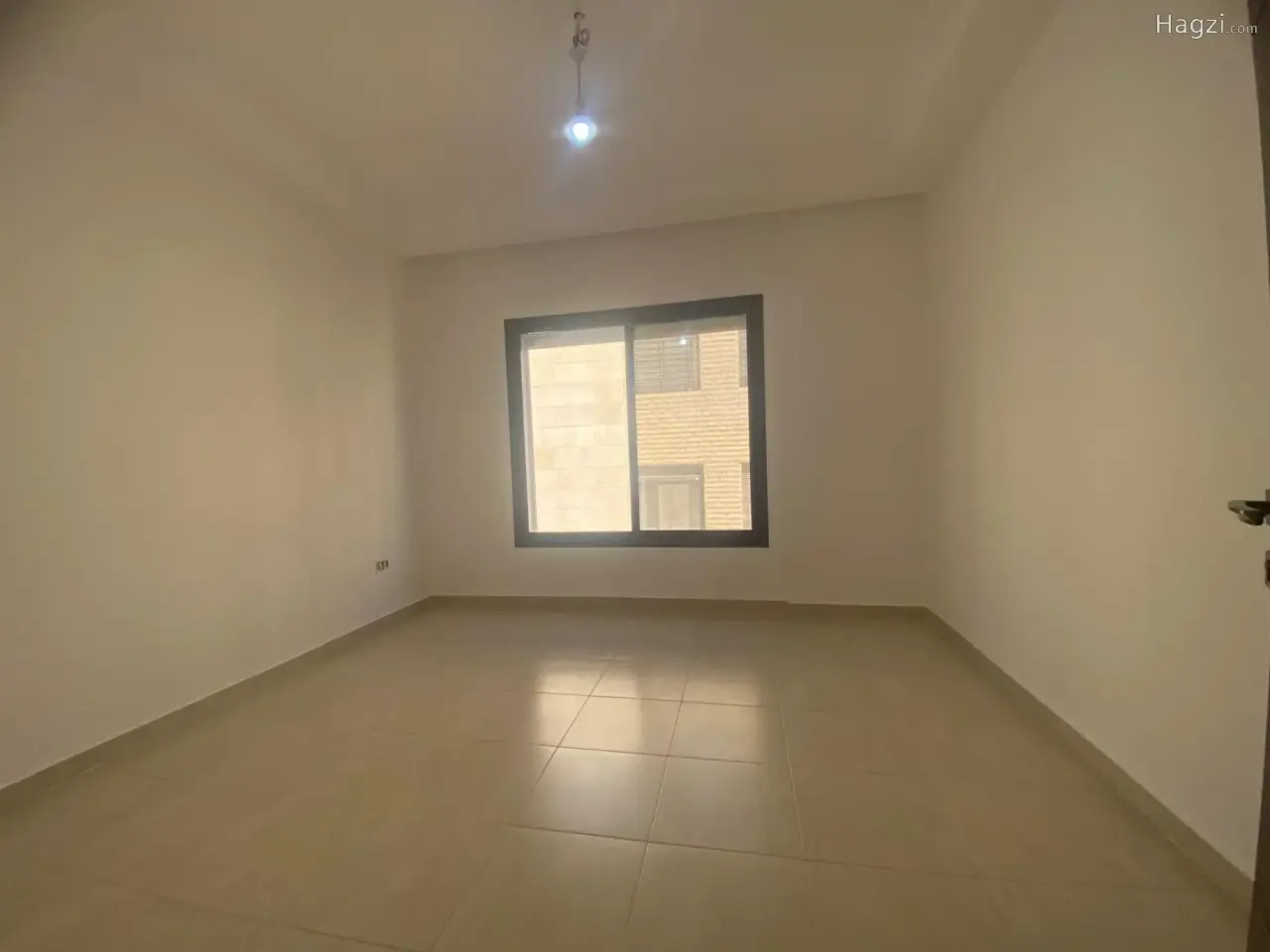 الصورة 11 من 12