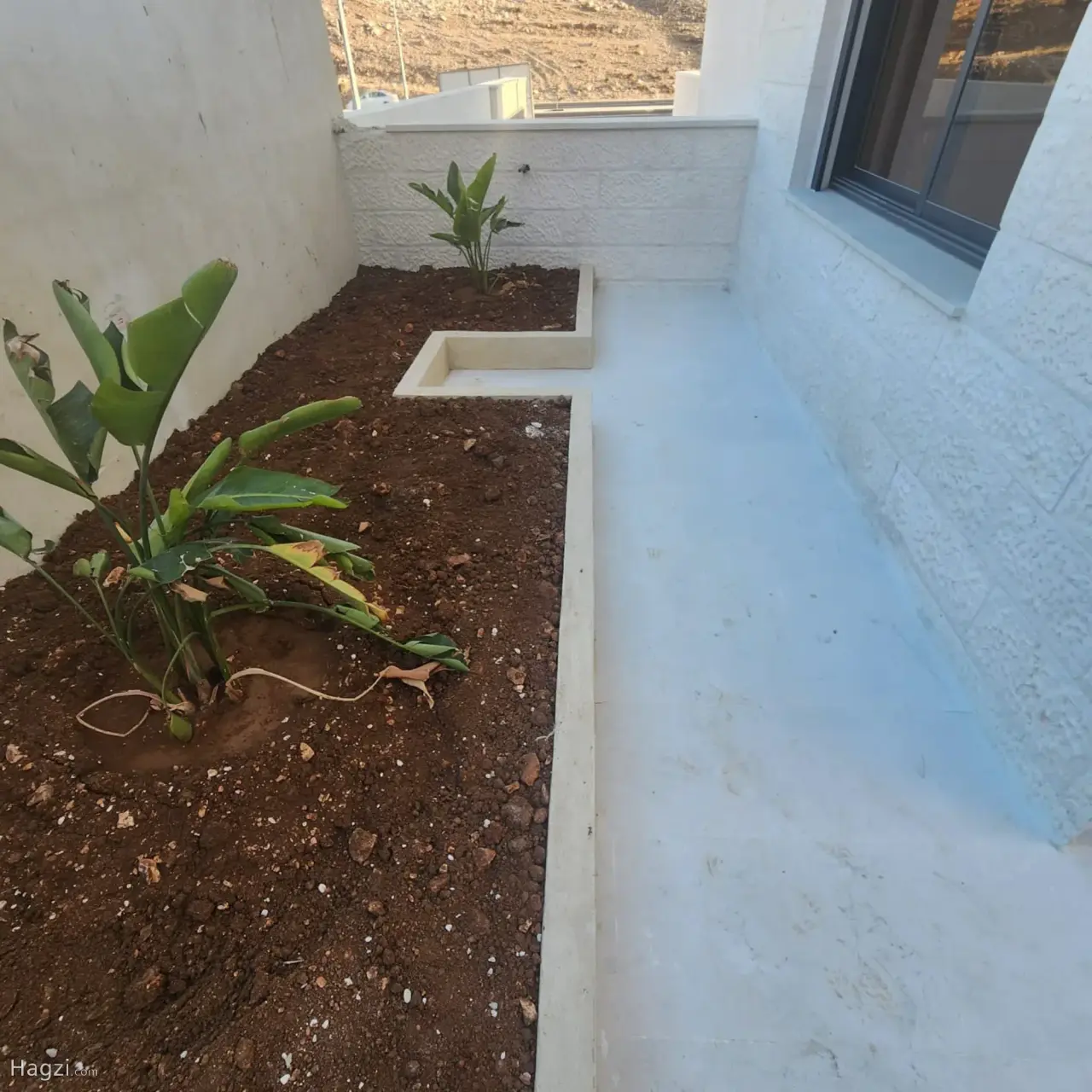Luxurious Apartment for sale #2312