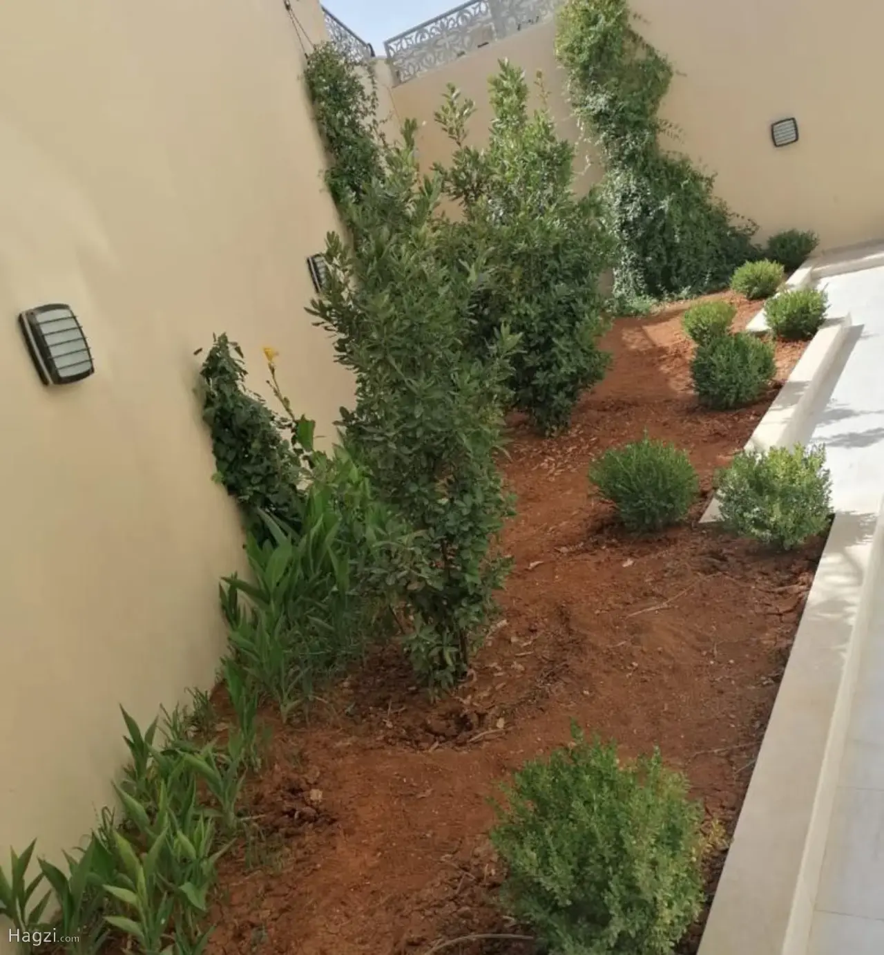 الصورة 2 من 12