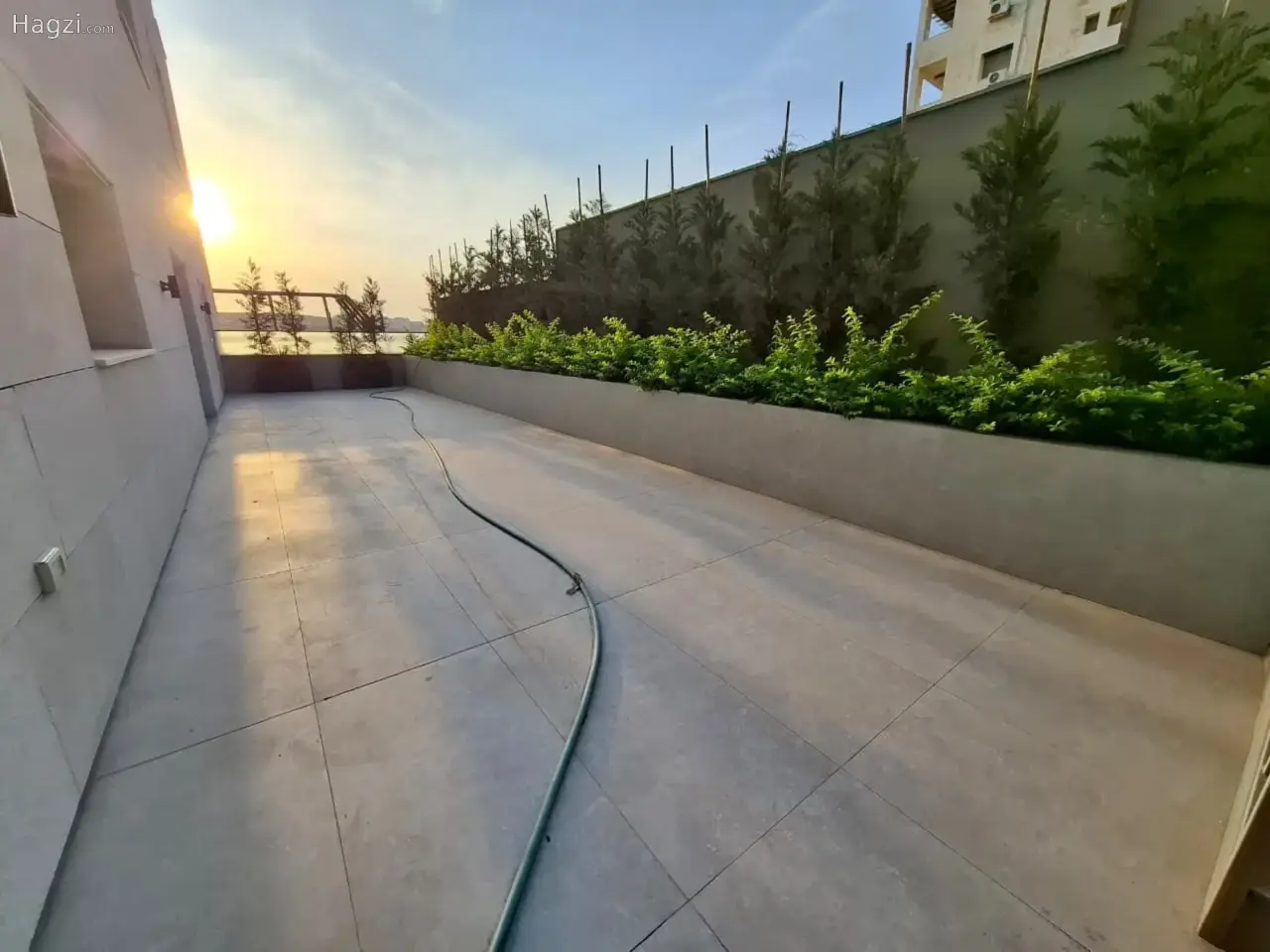 الصورة 2 من 12