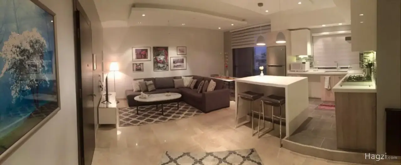 Furnished Apartment to Rent #1336