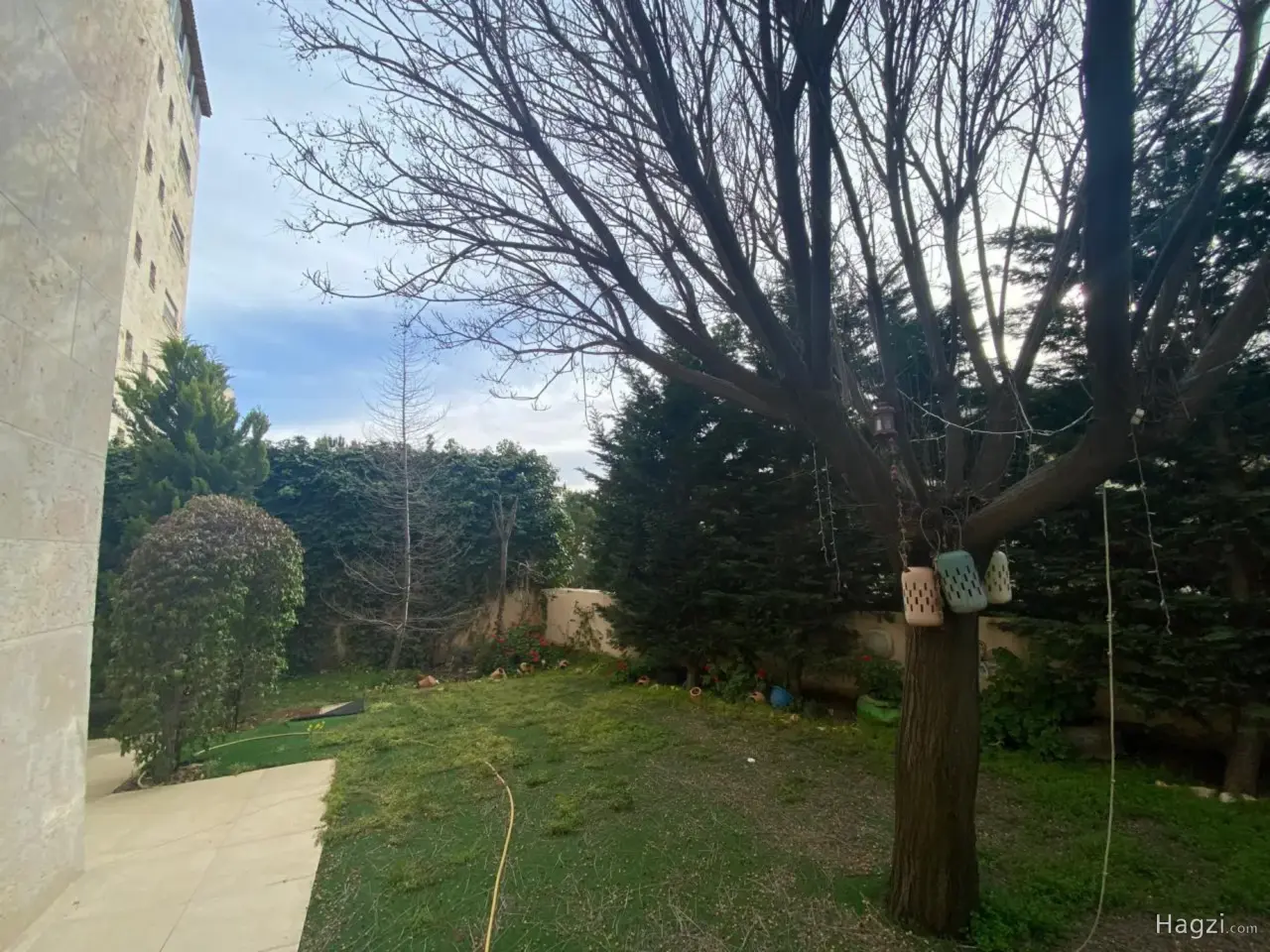 Photograph 8 of 12