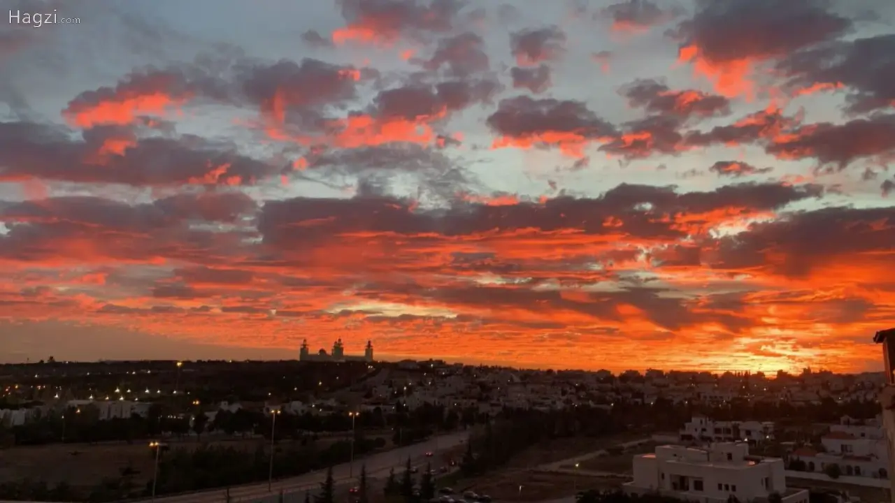 الصورة 4 من 12