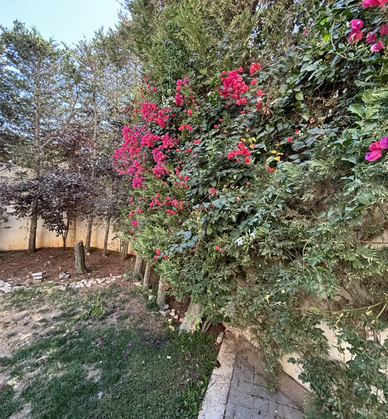 Photograph 3 of 11