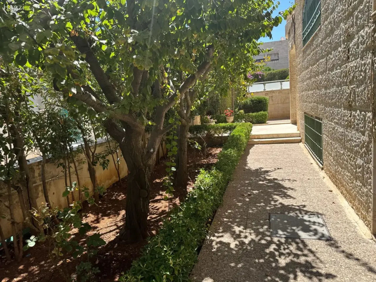الصورة 12 من 12