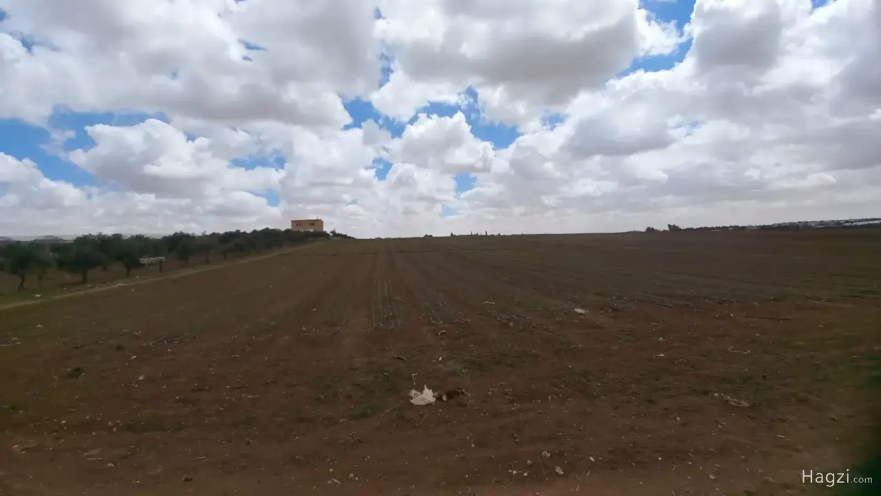 الصورة 4 من 4