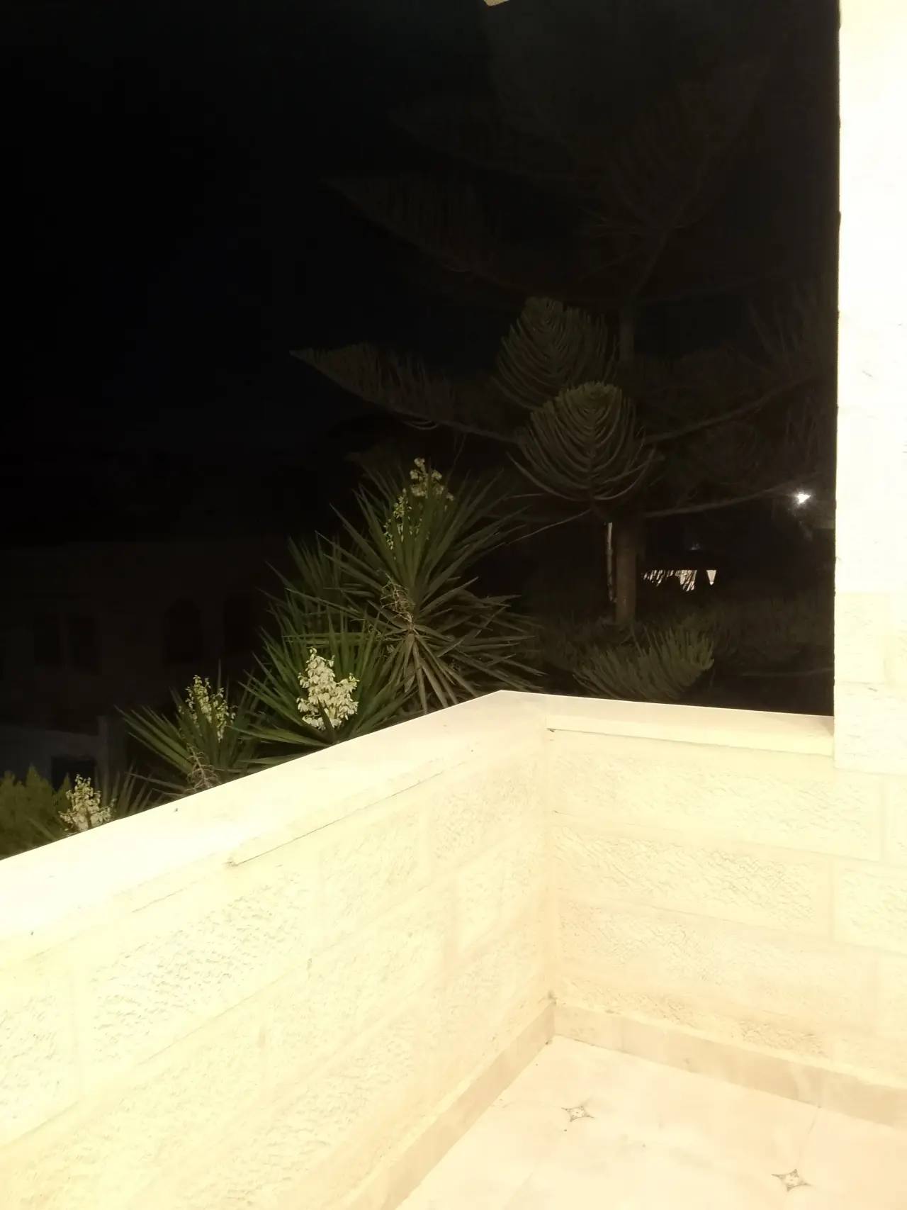 Apartment for rent in Al Bnayyat – photo 9