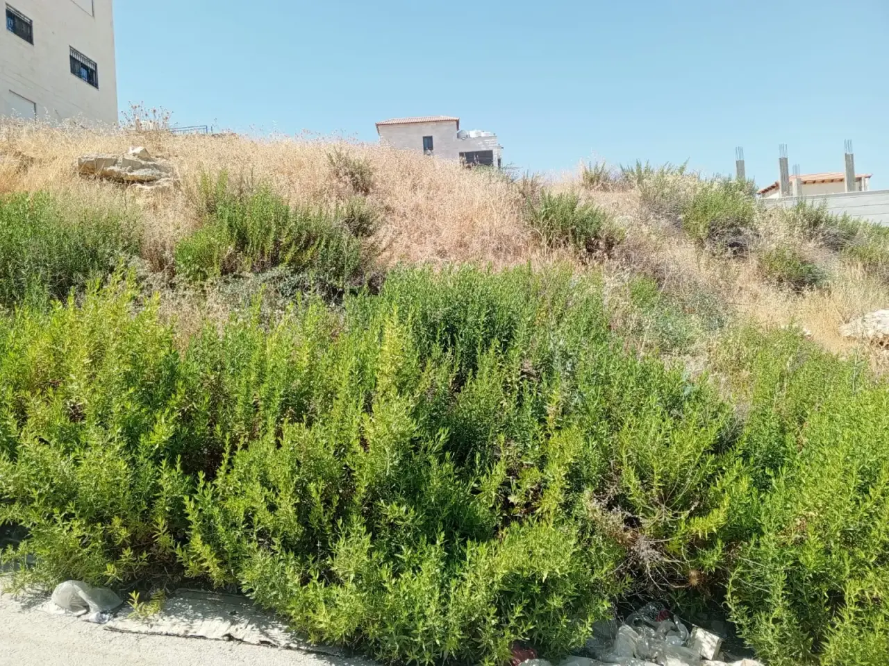 Land for sale in Abu Nsair – photo 4