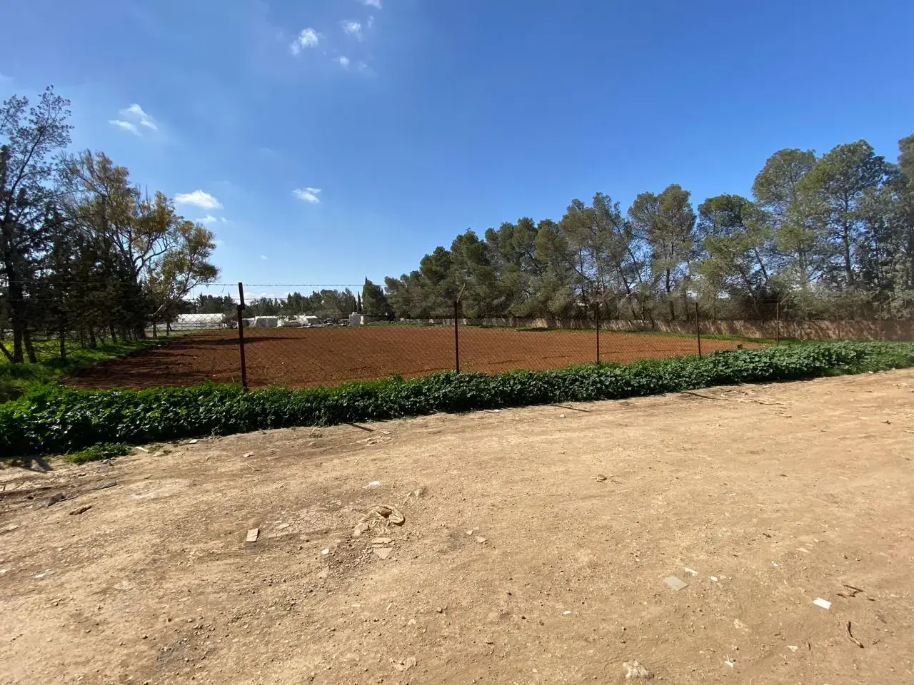 Land for sale in Al Taneeb – photo 3