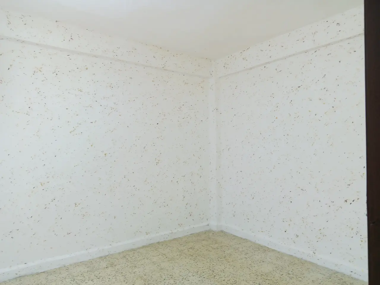 Apartment for rent in Al ghweariyyeh – photo 4