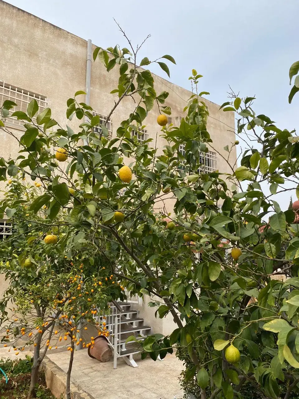 فيلا للبيع في Al-Qadisyeh - Rusaifeh – صورة 13