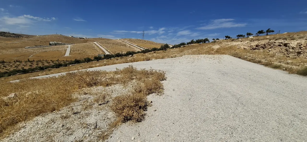 Land for sale in Graiba – photo 8