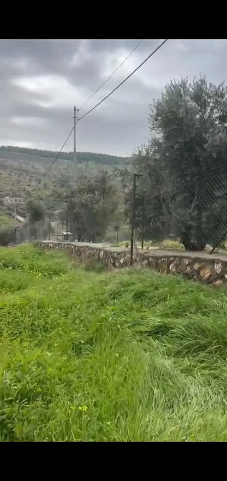 Land for sale in Sarout – photo 4