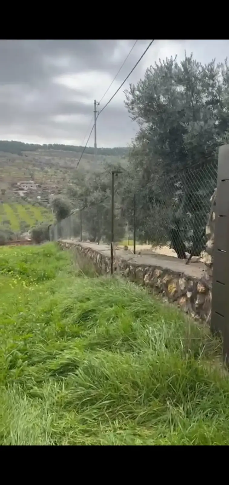 Land for sale in Sarout – photo 3