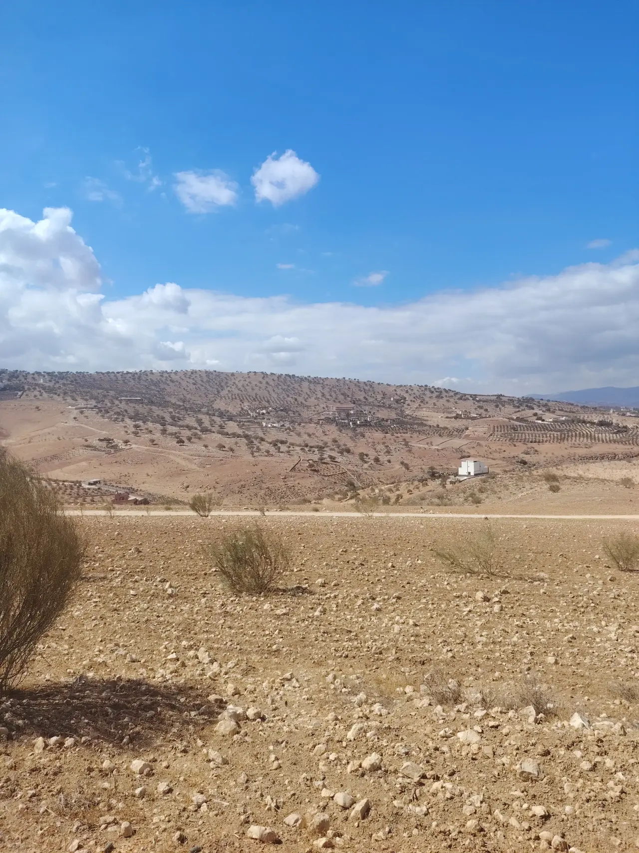 Land for sale in Sarout – photo 6