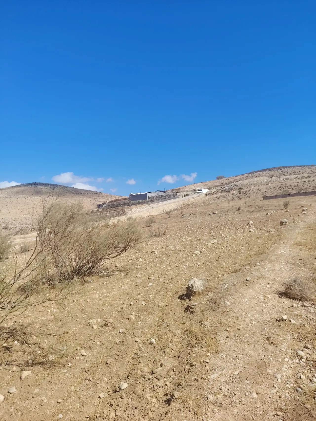 Land for sale in Sarout – photo 7