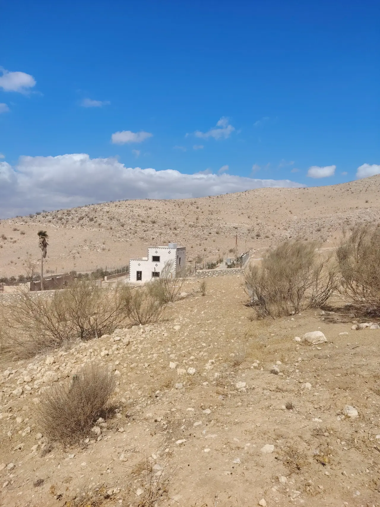 Land for sale in Sarout – photo 2