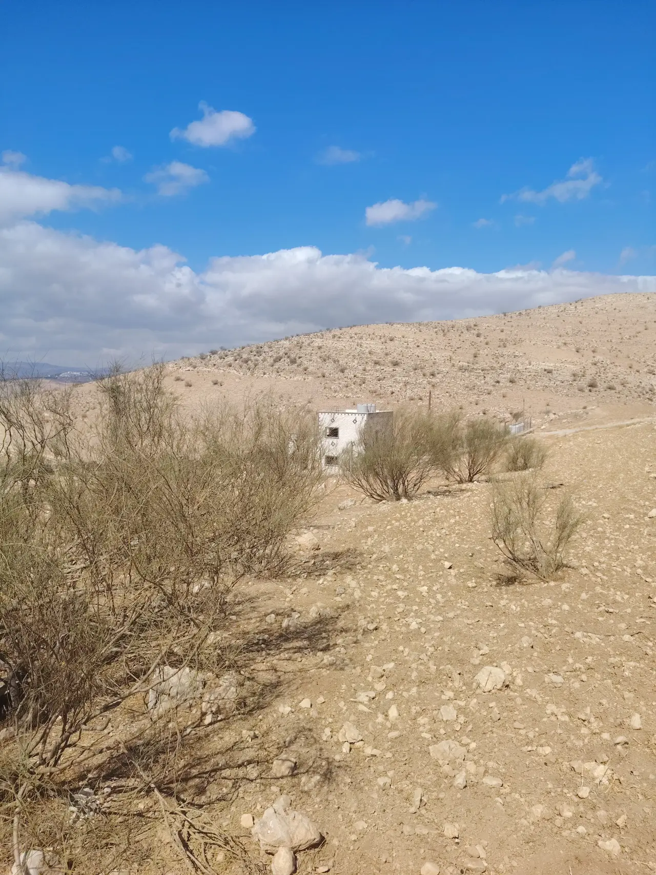 Land for sale in Sarout – photo 10