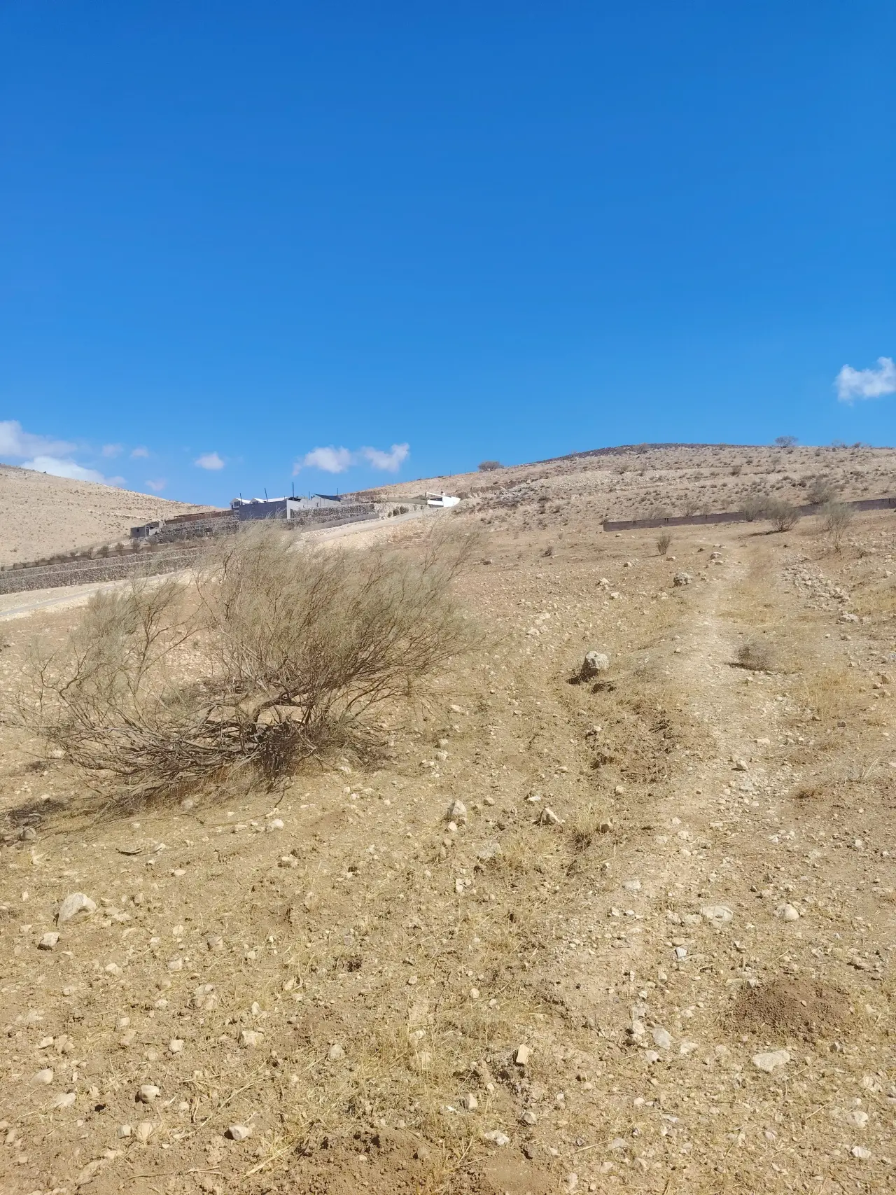 Land for sale in Sarout – photo 9