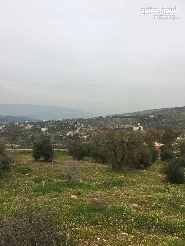 أرض للبيع في Al-Alouk – صورة 3