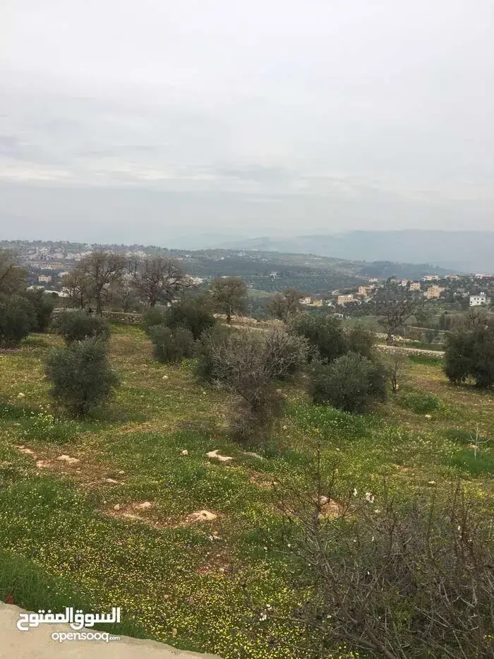 أرض للبيع في Al-Alouk – صورة 4