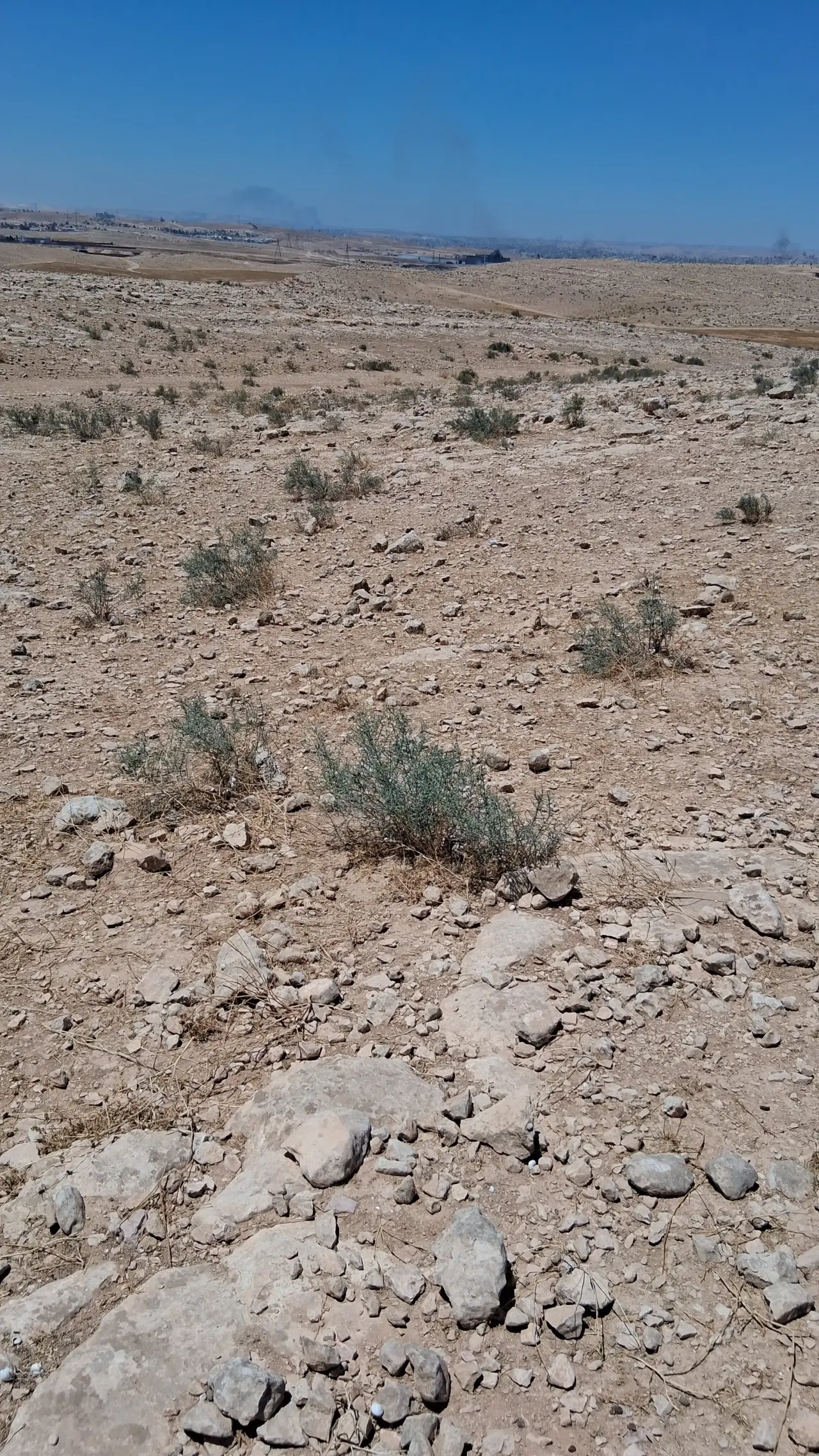 2,139 m² multi-use plot in Al Hashemieh, Al Matar basin