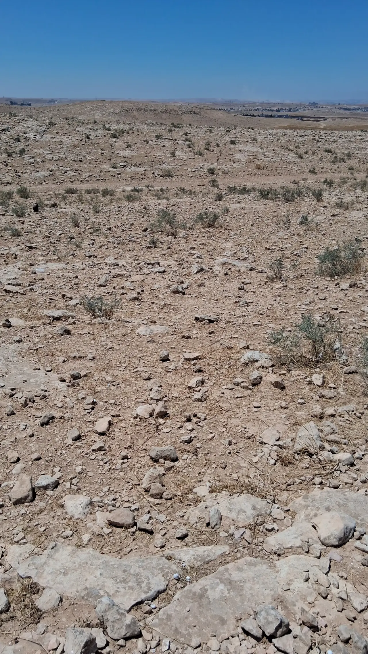 Land for sale in Al Hashemieh – photo 2
