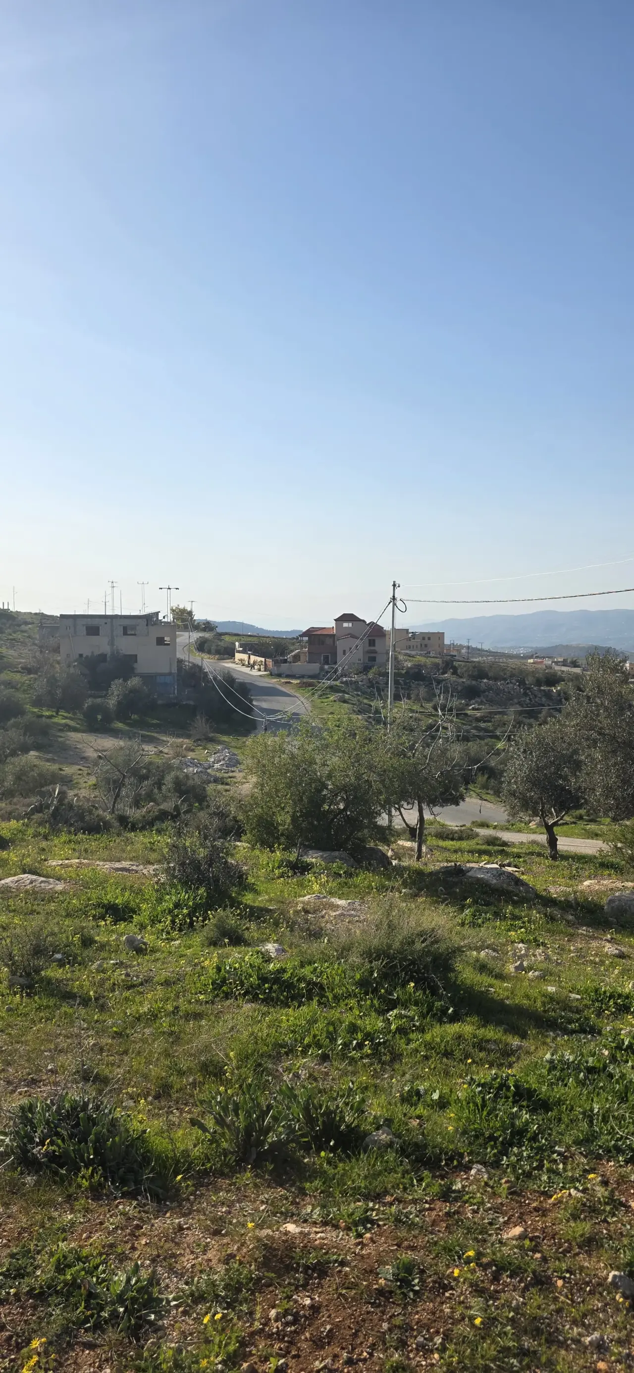 Land for sale in Al-Kamsha – photo 6