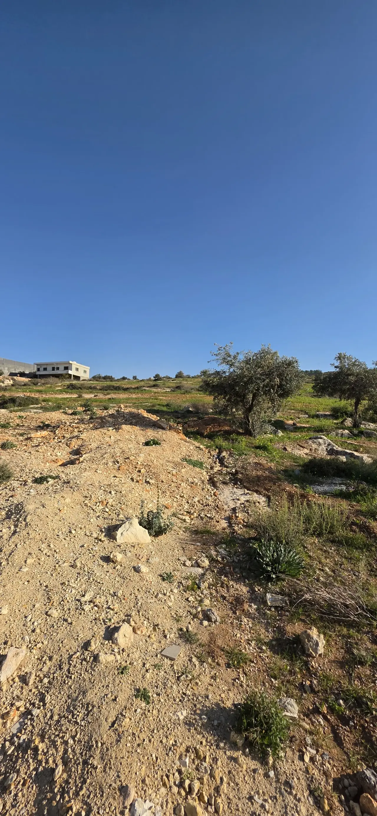 Land for sale in Al-Kamsha – photo 4