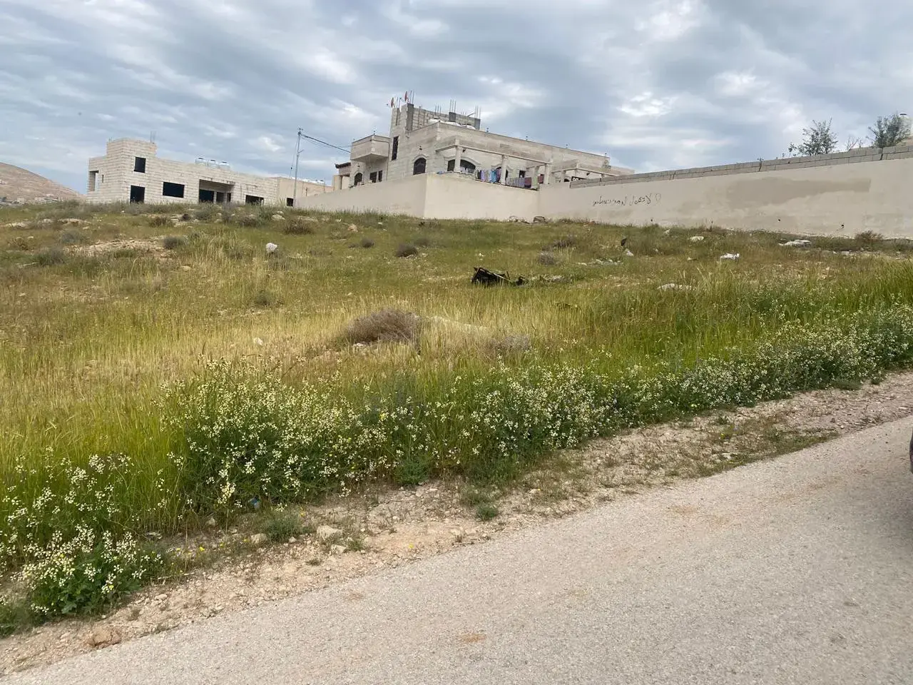 Land for sale in Al Sukhneh – photo 2