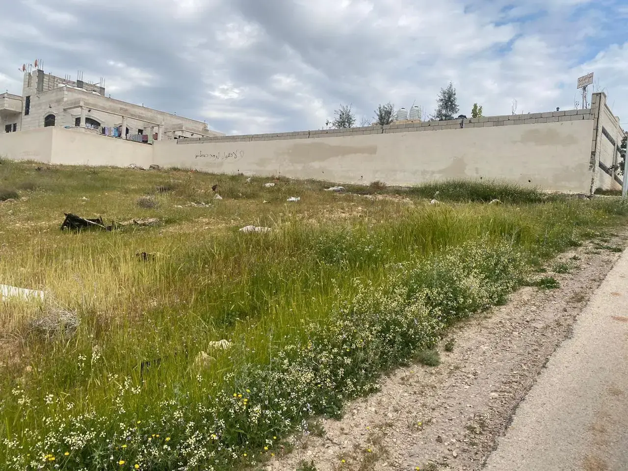 Land for sale in Al Sukhneh – photo 5