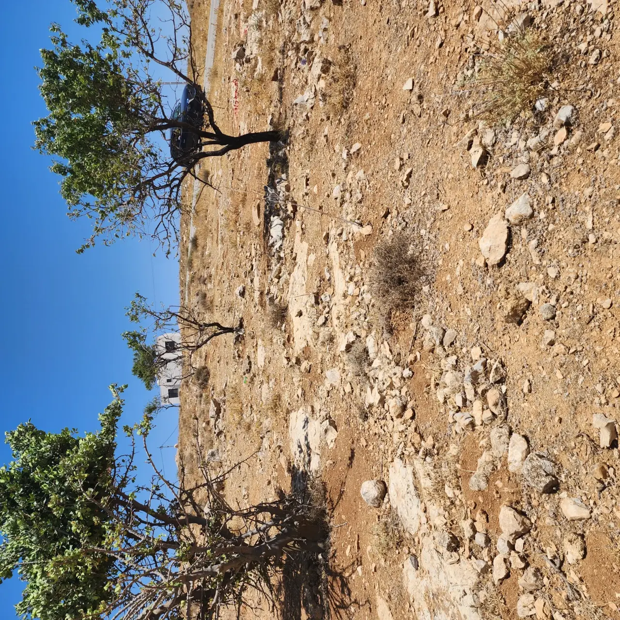 Land for sale in Rajm Al Shawk – photo 6