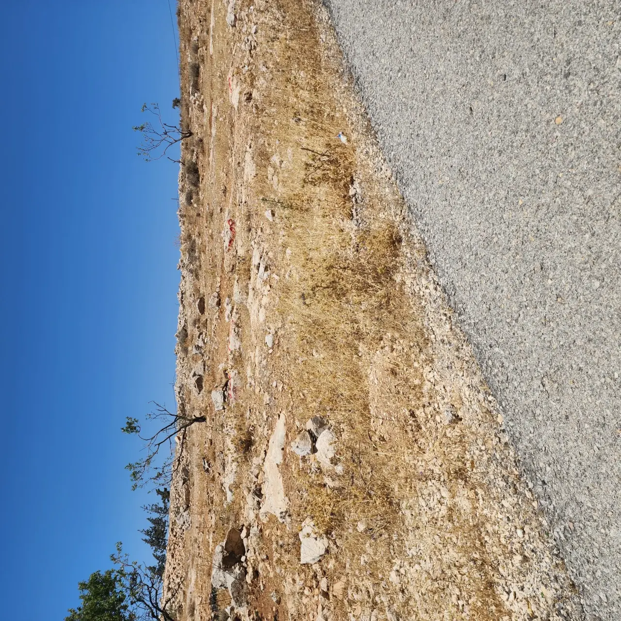 Land for sale in Rajm Al Shawk – photo 5