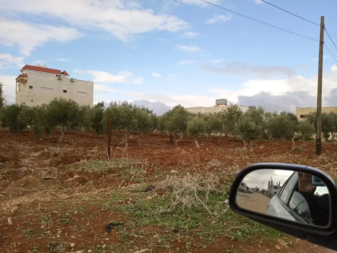 Land for sale in Al Sareeh – photo 3