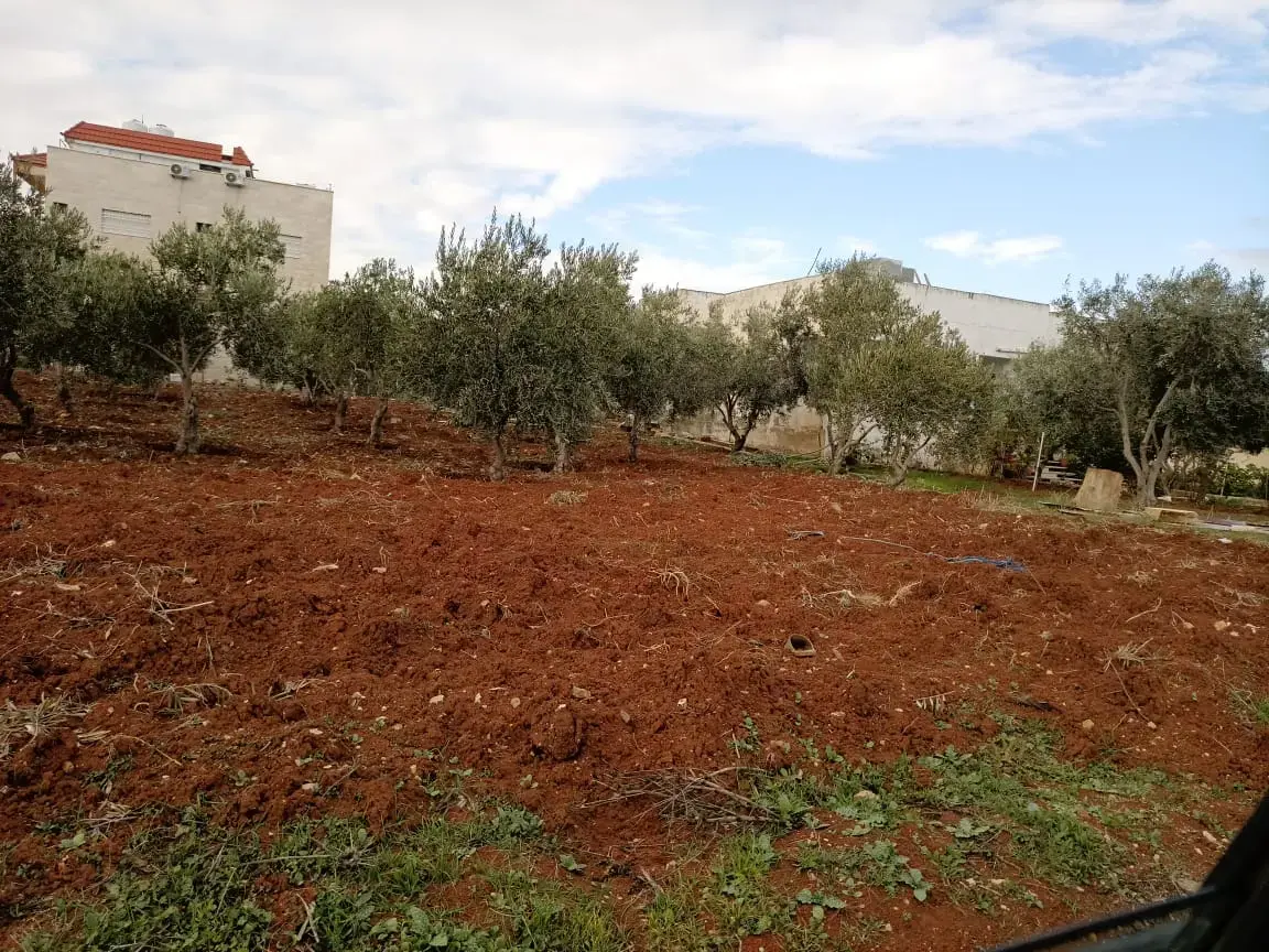 Land for sale in Al Sareeh – photo 2