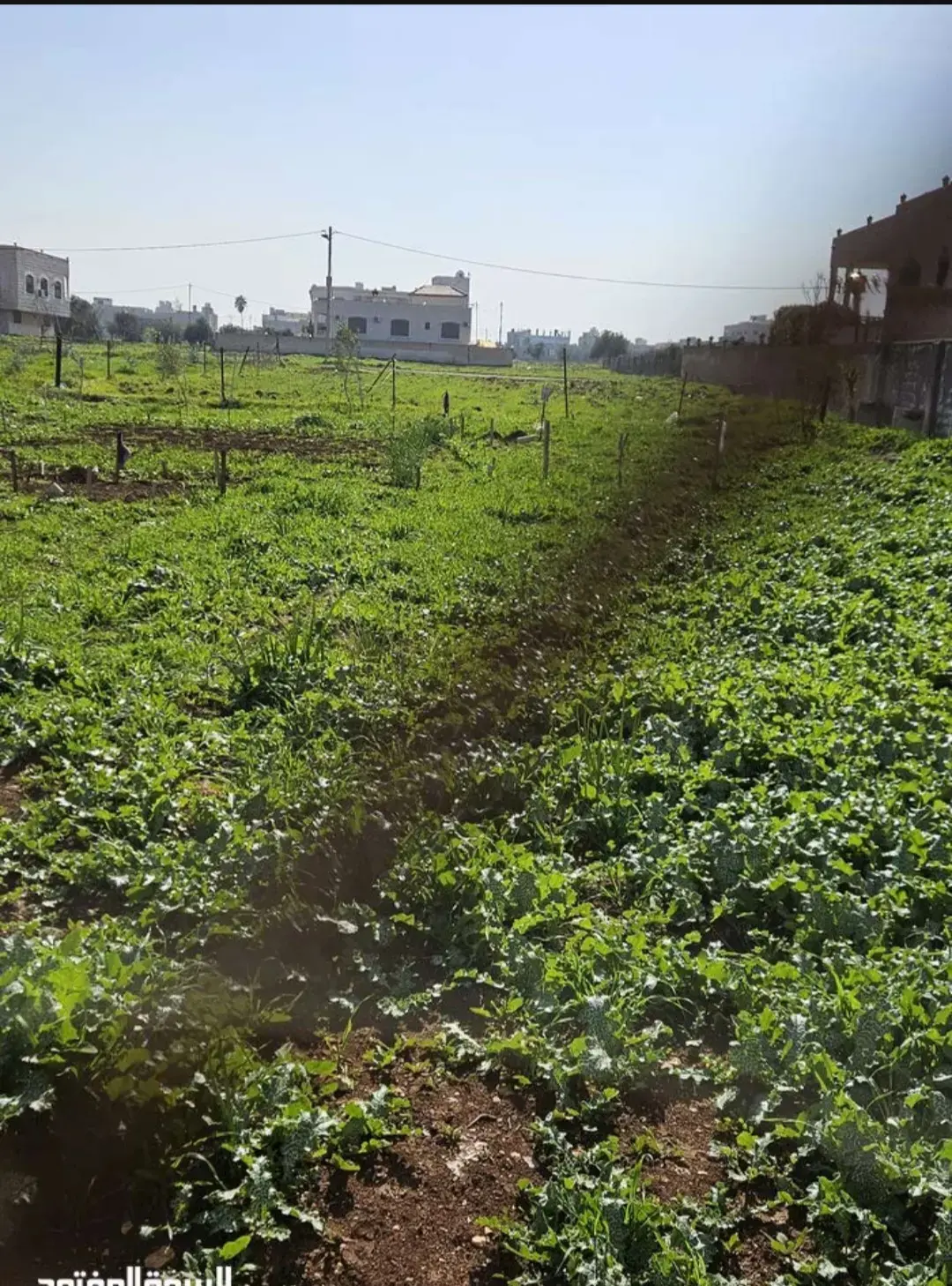 أرض للبيع في Bushra – صورة 5