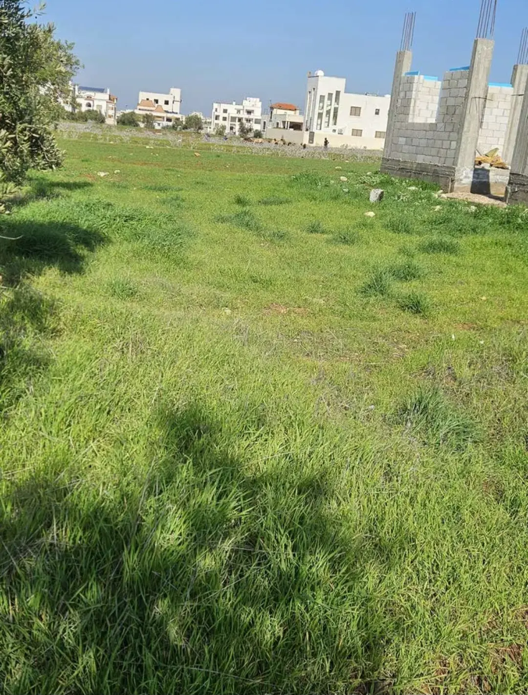 أرض سكن ج 457 م² في بشرى، حوض الدغيم، جنوب مدارس ساغو