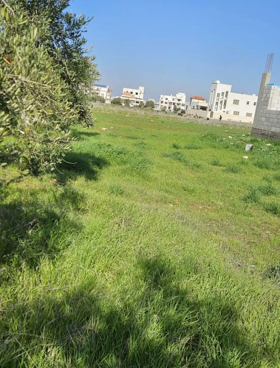 أرض للبيع في Bushra – صورة 4