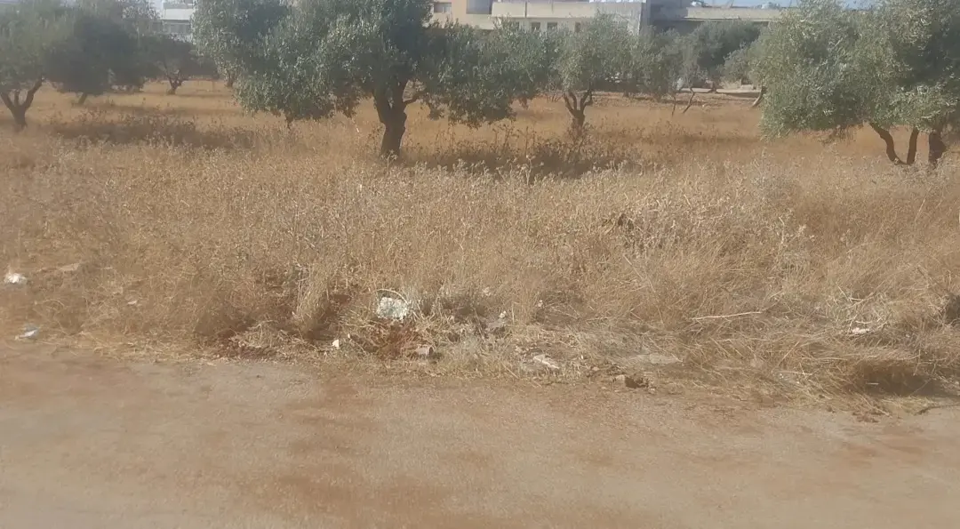 Land for sale in Bushra – photo 3