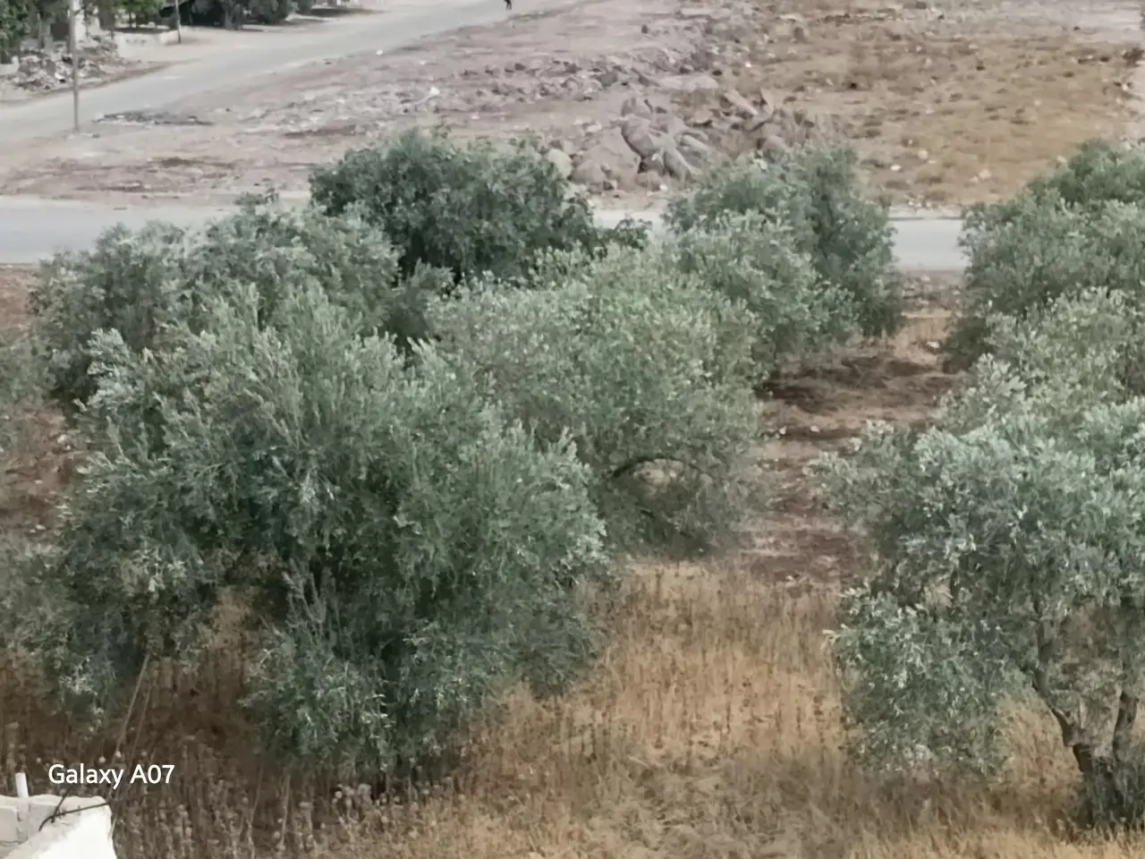 أرض للبيع في Bushra – صورة 2