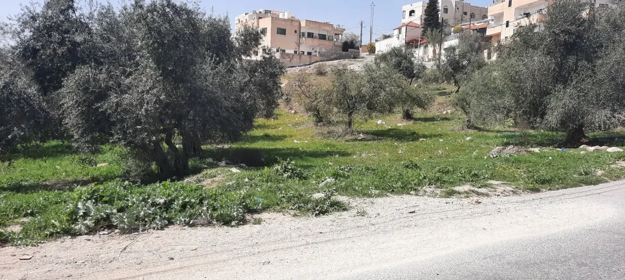 Land for sale in Bait Ras – photo 3
