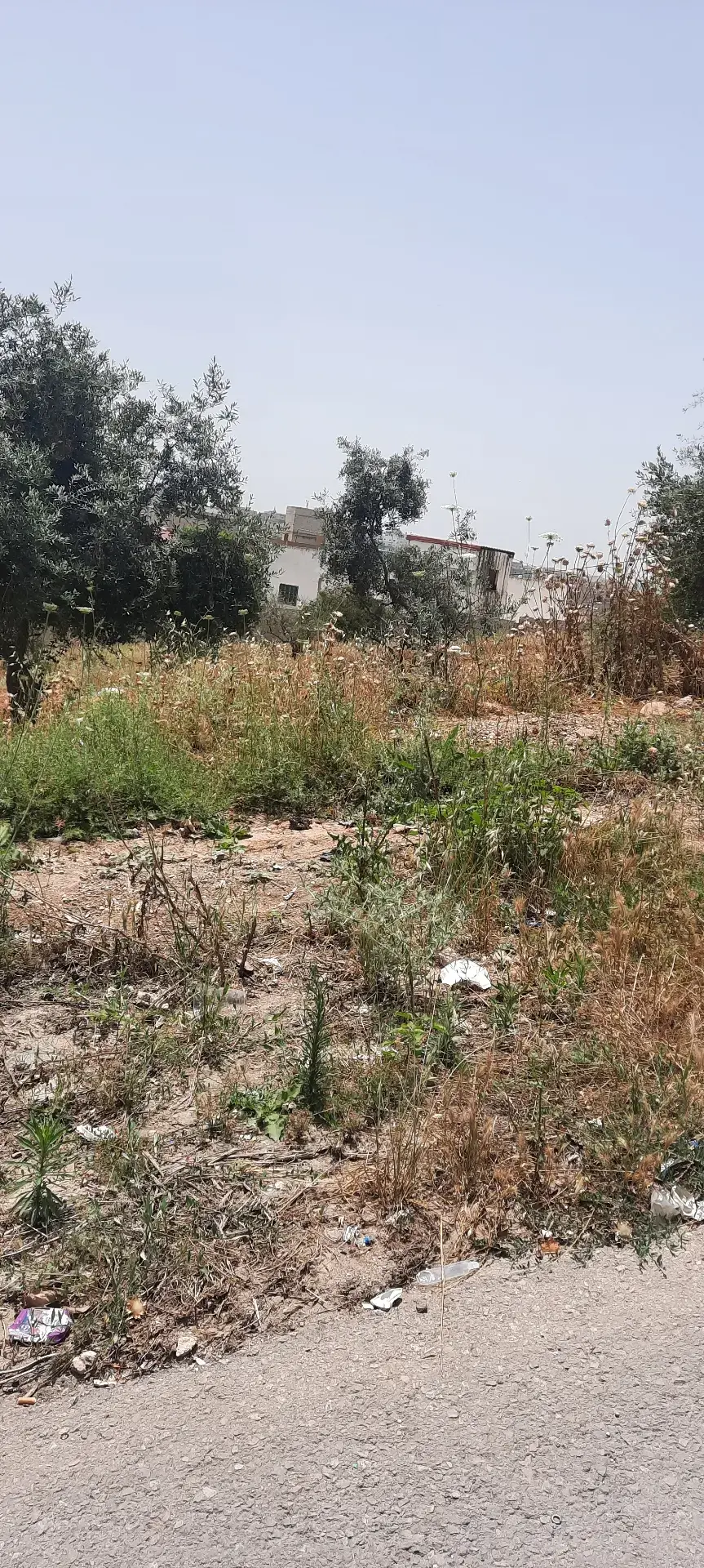 Land for sale in Bait Ras – photo 8
